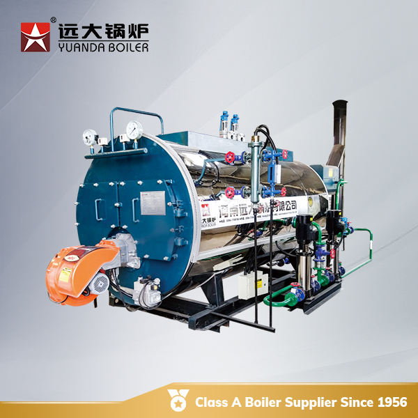 wns oil gas fired boiler